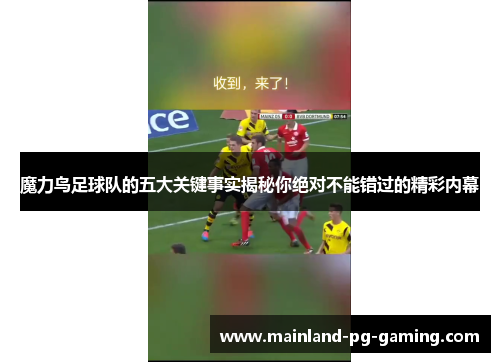 魔力鸟足球队的五大关键事实揭秘你绝对不能错过的精彩内幕 魔力鸟足球队的五大关键事实揭秘你绝对不能错过的精彩内幕