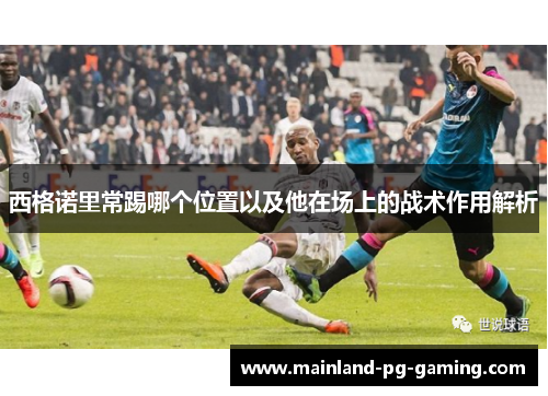 西格诺里常踢哪个位置以及他在场上的战术作用解析 西格诺里常踢哪个位置以及他在场上的战术作用解析