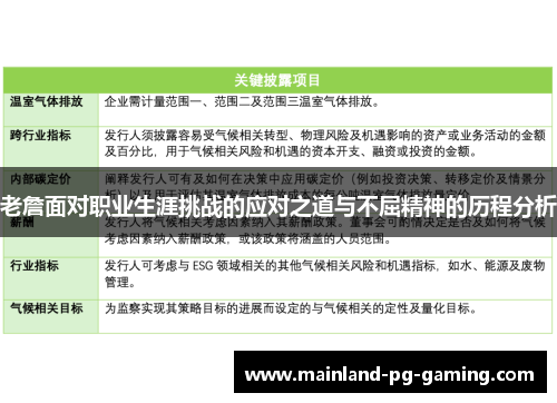 老詹面对职业生涯挑战的应对之道与不屈精神的历程分析