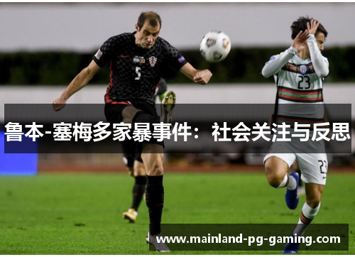 鲁本-塞梅多家暴事件:社会关注与反思 鲁本-塞梅多家暴事件:社会关注与反思