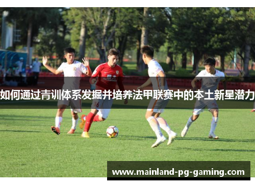 如何通过青训体系发掘并培养法甲联赛中的本土新星潜力 如何通过青训体系发掘并培养法甲联赛中的本土新星潜力