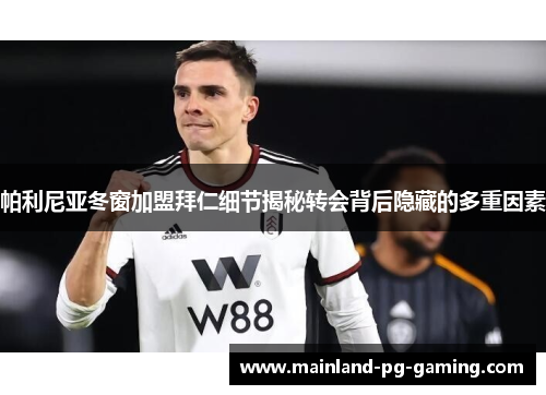 帕利尼亚冬窗加盟拜仁细节揭秘转会背后隐藏的多重因素 帕利尼亚冬窗加盟拜仁细节揭秘转会背后隐藏的多重因素
