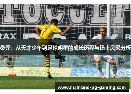 桑乔：从天才少年到足球明星的成长历程与场上风采分析